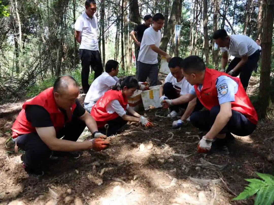 75ebc3832b6d0e53ee98cba156857050.jpg 75ebc3832b6d0e53ee98cba156857050.jpg