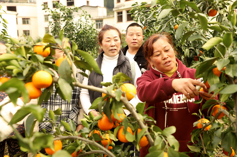 017b2e41b54a6958f0fdce850dabf86f.png 017b2e41b54a6958f0fdce850dabf86f.png